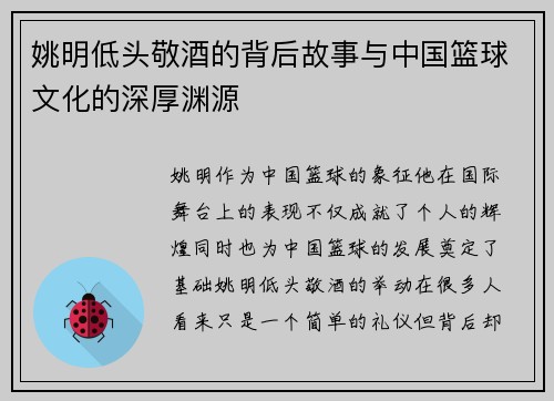 姚明低头敬酒的背后故事与中国篮球文化的深厚渊源